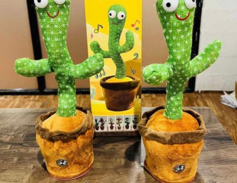 Dancing Cactus