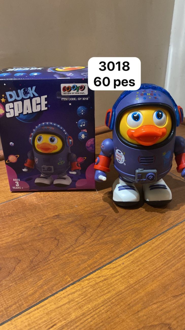 DUCK SPACE